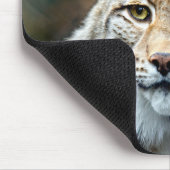 Lynx Bobcat Wildlife Predator Cat Muismat (Hoek)