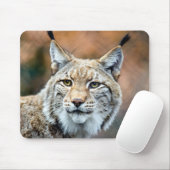 Lynx Bobcat Wildlife Predator Cat Muismat (Met muis)