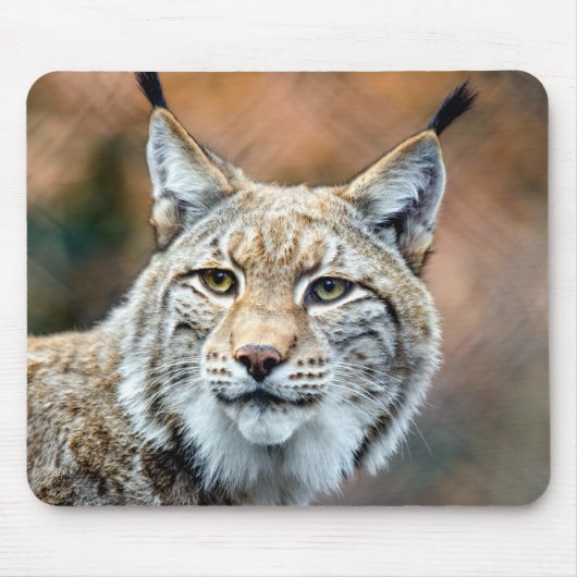 Lynx Bobcat Wildlife Predator Cat Muismat (Voorkant)