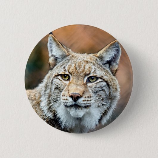 Lynx Bobcat Wildlife Predator Cat Ronde Button 5,7 Cm (Voorkant)