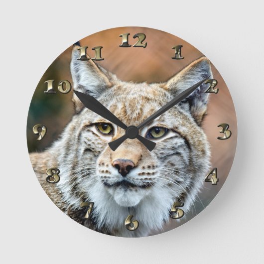 Lynx Bobcat Wildlife Predator Cat Ronde Klok (Voorkant)