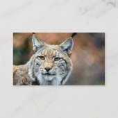 Lynx Bobcat Wildlife Predator Cat Visitekaartje (Achterkant)