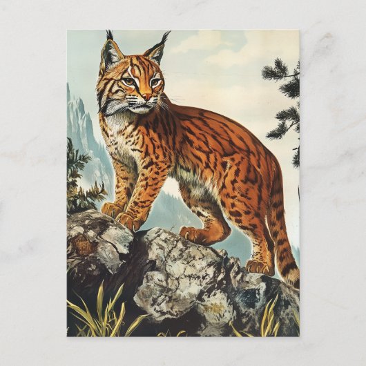 Lynx  briefkaart (Voorkant)