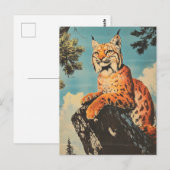 Lynx  briefkaart (Voorkant / Achterkant)