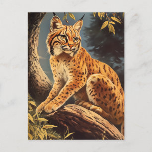 Lynx  briefkaart