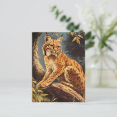 Lynx  briefkaart (Staand voorkant)