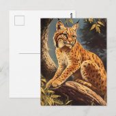 Lynx  briefkaart (Voorkant / Achterkant)