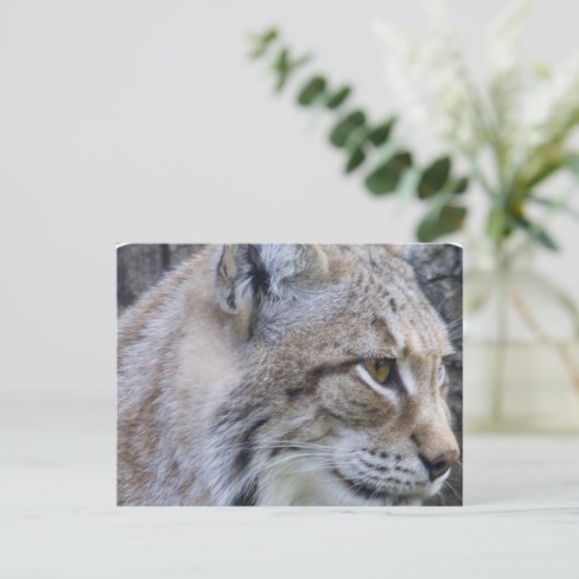 Lynx Briefkaart (Staand voorkant)