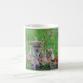 Lynx Cat & Kitten Cute Coffee Cup Koffiemok