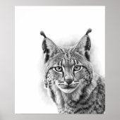 Lynx Cat Sketch Portret zwart wit Poster (Voorkant)