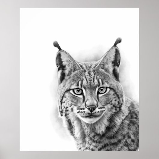 Lynx Cat Sketch Portret zwart wit Poster (Voorkant)
