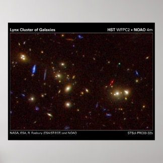 Lynx-cluster van sterrenstelsels poster