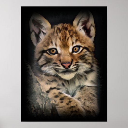 Lynx Cub Poster (Voorkant)