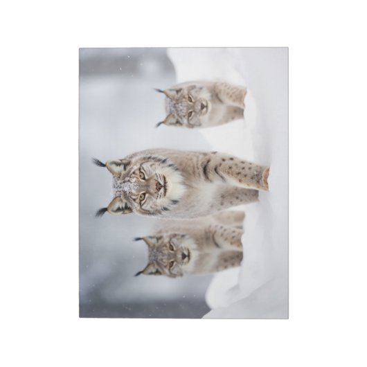 Lynx Dierenfamilie Wandering Natuur Notitieblok (Linkerzijde)