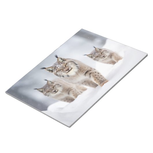 Lynx Dierenfamilie Wandering Natuur Notitieblok (Schuin)