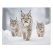 Lynx Dierenfamilie Wandering Natuur Notitieblok (Voorkant)