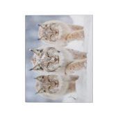 Lynx Dierenfamilie Wandering Natuur Notitieblok (Linkerzijde)