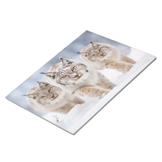 Lynx Dierenfamilie Wandering Natuur Notitieblok (Schuin)