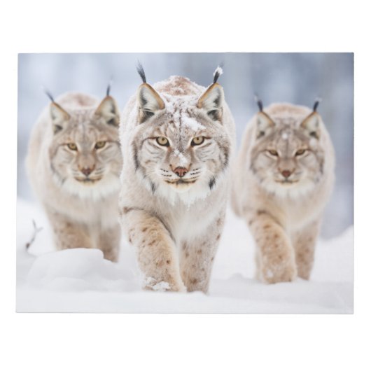 Lynx Dierenfamilie Wandering Natuur Notitieblok (Voorkant)