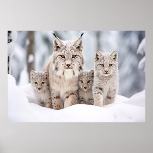 Lynx Dierenfamilie Wandering Natuur Poster (Voorkant)