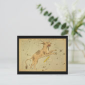 Lynx en Telescopium Herschilii Briefkaart (Staand voorkant)