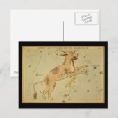 Lynx en Telescopium Herschilii Briefkaart (Voorkant / Achterkant)
