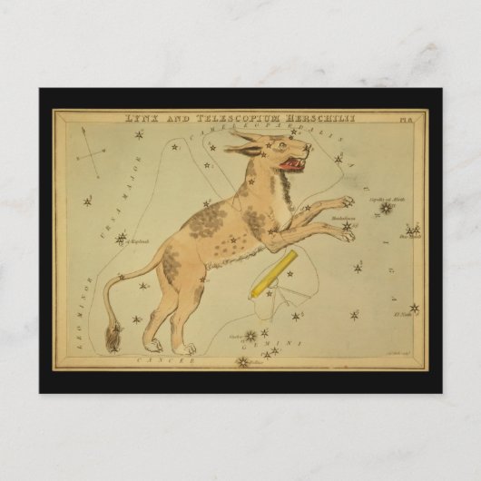 Lynx en Telescopium Herschilii Briefkaart (Voorkant)