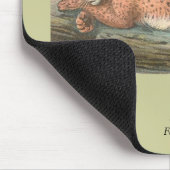 Lynx, Felis lynx Muismat (Hoek)