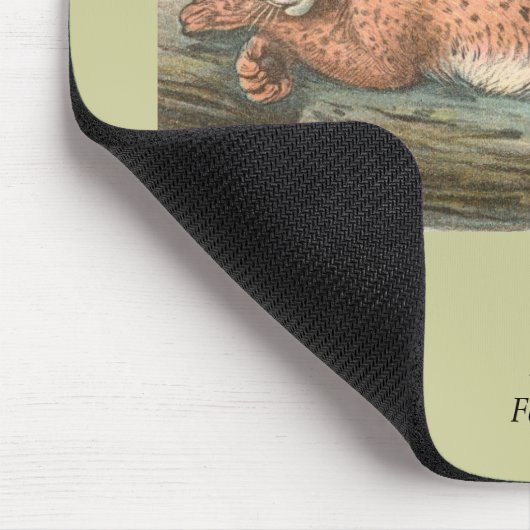 Lynx, Felis lynx Muismat (Hoek)