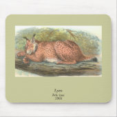 Lynx, Felis lynx Muismat (Voorkant)