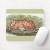 Lynx, Felis lynx Muismat (Met muis)