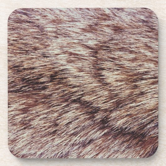 Lynx fur bier onderzetter (Voorkant)