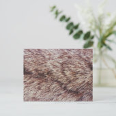 Lynx fur briefkaart (Staand voorkant)