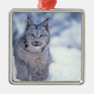 Lynx in de sneeuw aan de voet van het gebergte metalen ornament
