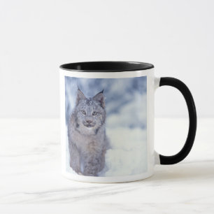 Lynx in de sneeuw aan de voet van het gebergte mok