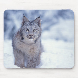 Lynx in de sneeuw aan de voet van het gebergte muismat
