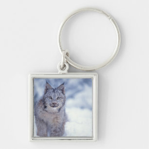 Lynx in de sneeuw aan de voet van het gebergte sleutelhanger
