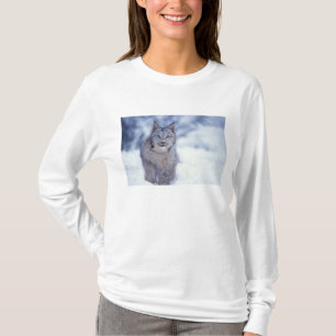 Lynx in de sneeuw aan de voet van het gebergte t-shirt