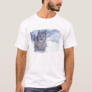 Lynx in de sneeuw aan de voet van het gebergte t-shirt