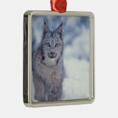 Lynx in de sneeuw in de uitlopers metalen ornament (Rechts)