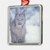 Lynx in de sneeuw in de uitlopers metalen ornament (Links)