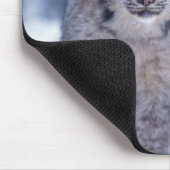 Lynx in de sneeuw in de uitlopers muismat (Hoek)