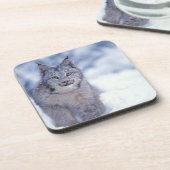 Lynx in de sneeuw in de uitlopers onderzetter (Linkerzijde)