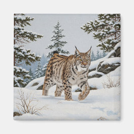 Lynx in Fulufjället Nationaal Park Zweden Reizen Magneet