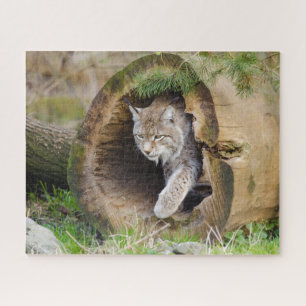 Lynx in Log Jigzaag Puzzle Legpuzzel
