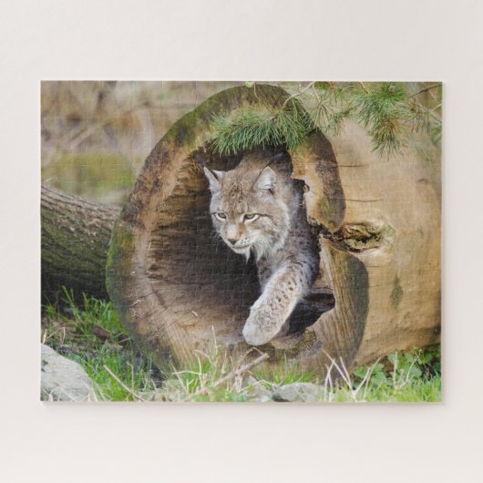 Lynx in Log Jigzaag Puzzle Legpuzzel (Horizontaal)