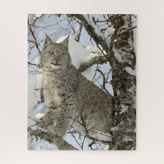 Lynx in Winter Foto Puzzle Legpuzzel (Verticaal)