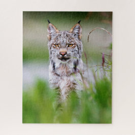 Lynx Jigzaag Puzzle Legpuzzel