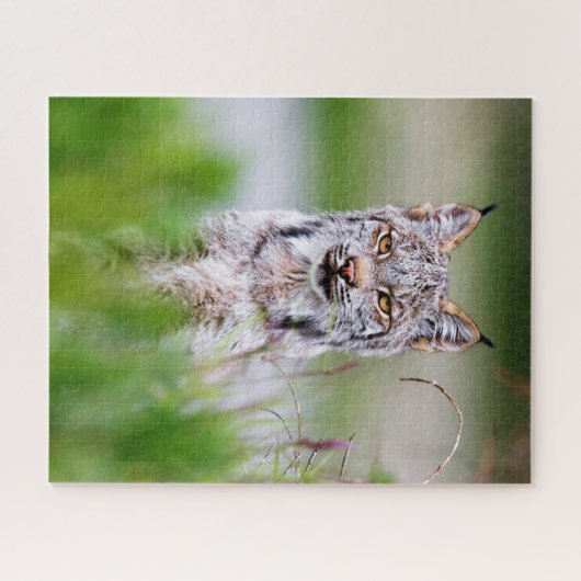 Lynx Jigzaag Puzzle Legpuzzel (Horizontaal)