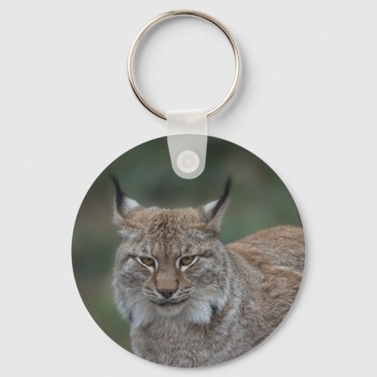 Lynx kijkt naar je klassieke sleutelhanger (Voorkant)